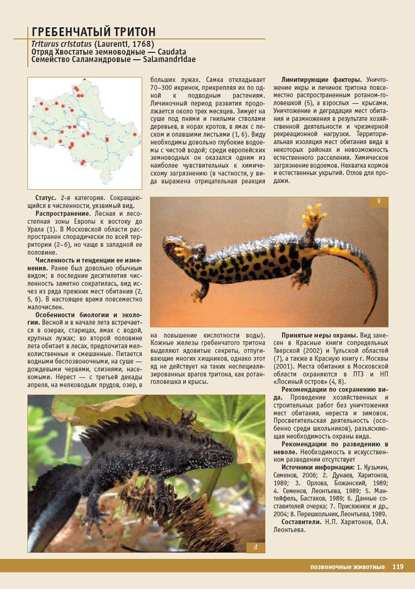 Гребенчатый тритон (Triturus cristatus). Красная книга Московской области, 2008