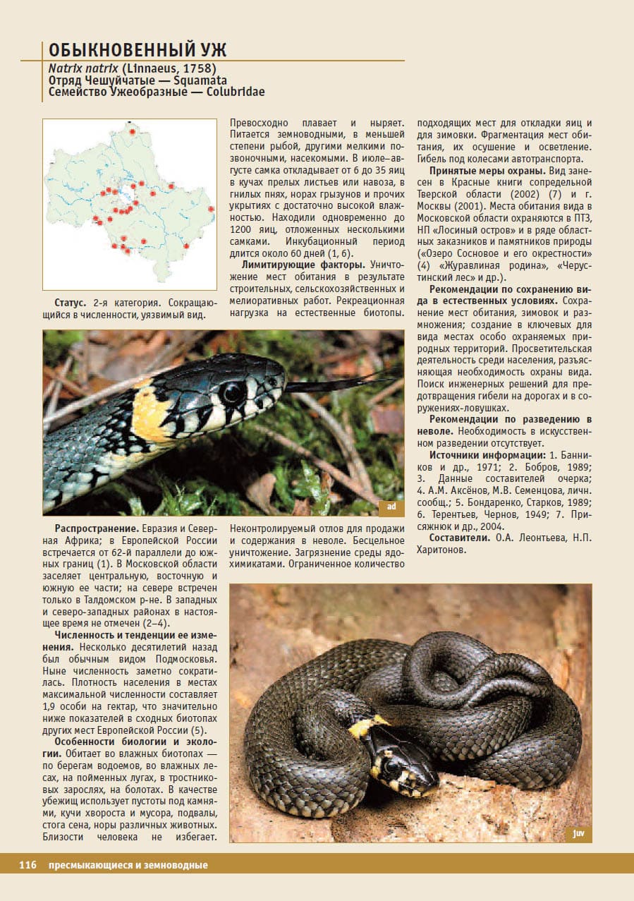 Обыкновенный уж (Natrix natrix). Красная книга Московской области, 2008