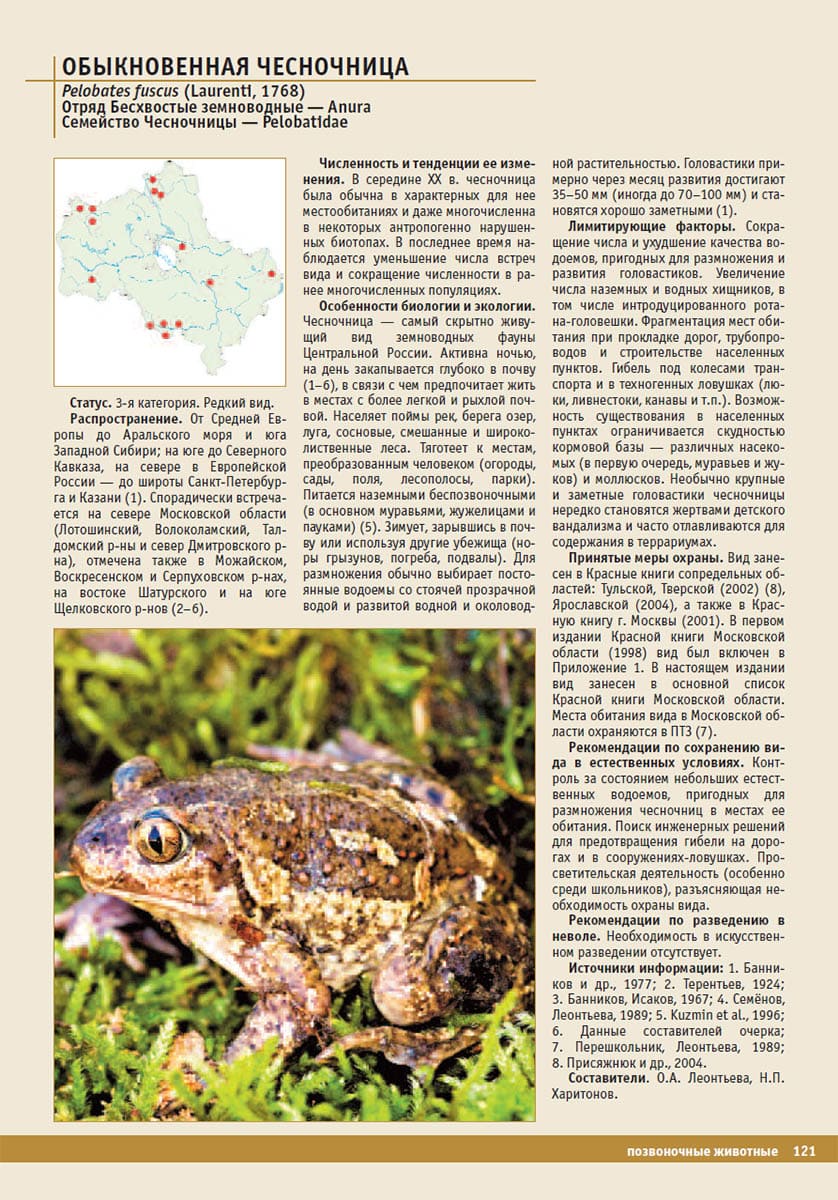 Обыкновенная чесночница (Pelobates fuscus). Красная книга Московской области, 2008