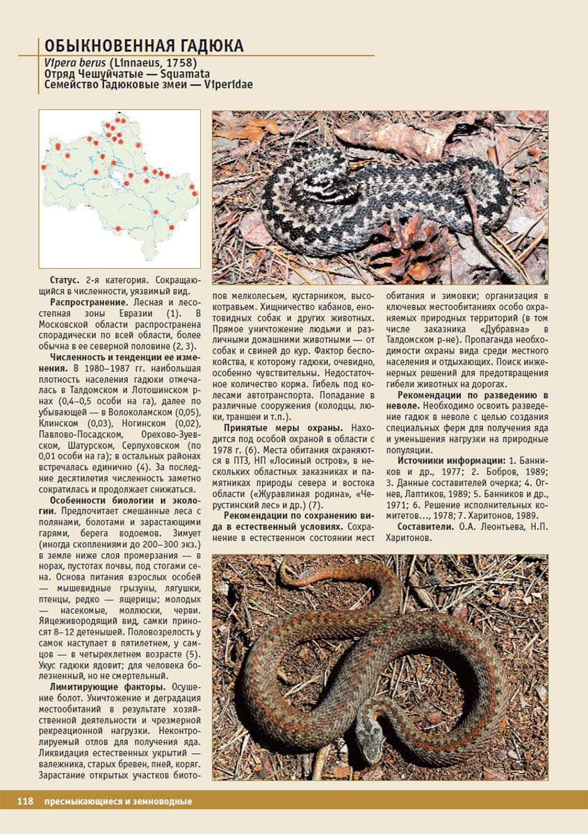 Обыкновенная гадюка (Vipera berus). Красная книга Московской области, 2008