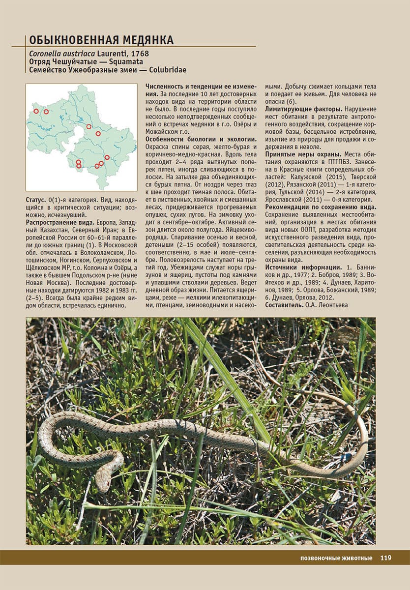 Обыкновенная медянка (Coronella austriaca). Красная книга Московской области, 2018