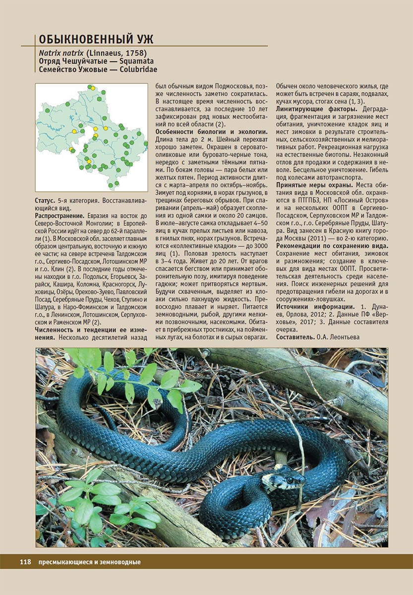 Обыкновенный уж (Natrix natrix). Красная книга Московской области, 2018