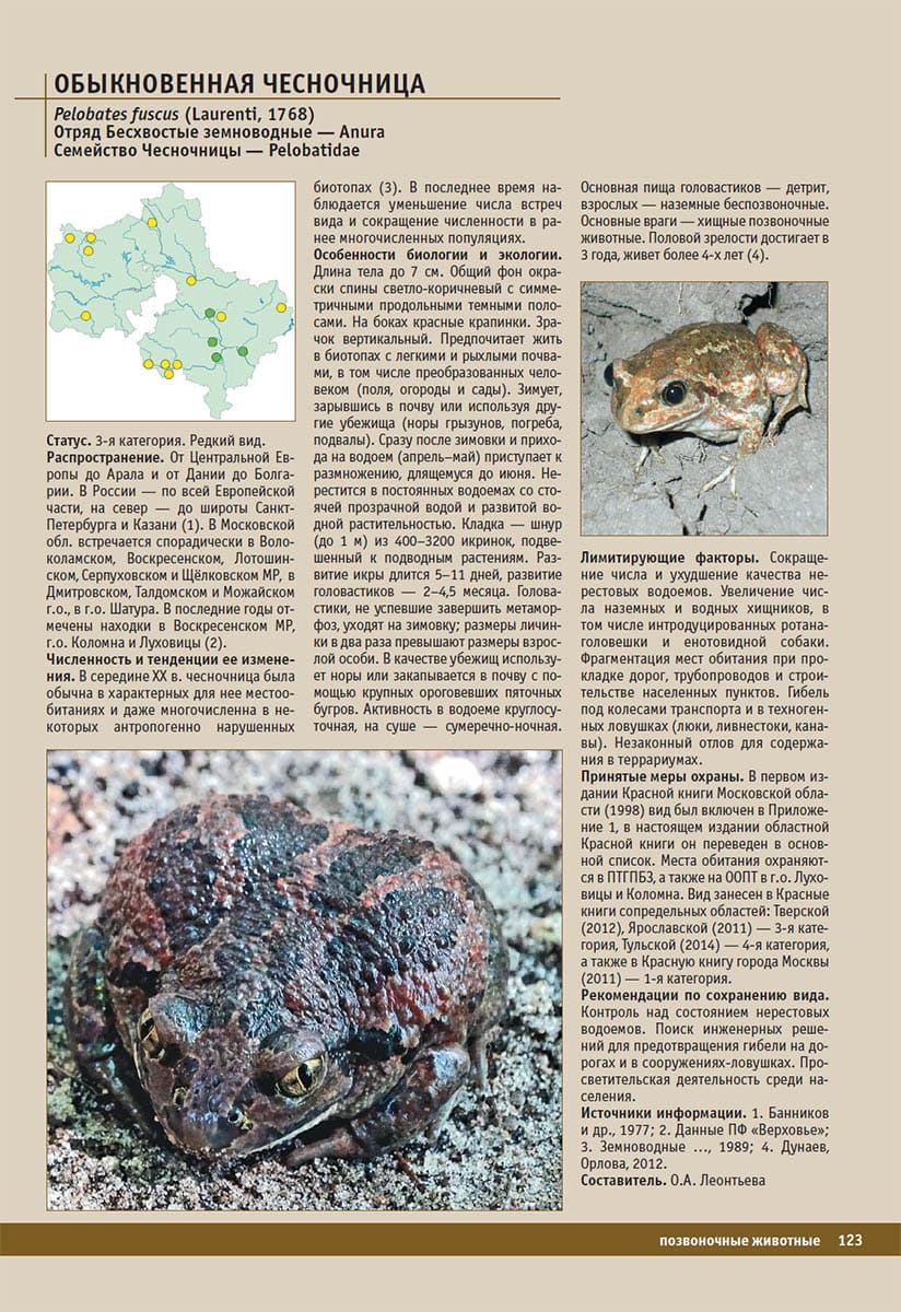 Обыкновенная чесночница (Pelobates fuscus). Красная книга Московской области, 2018