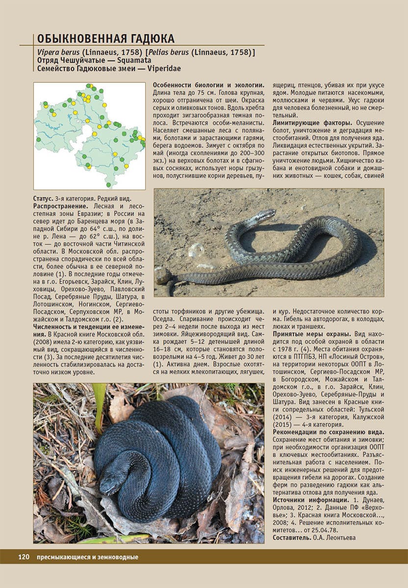 Обыкновенная гадюка (Vipera berus). Красная книга Московской области, 2018