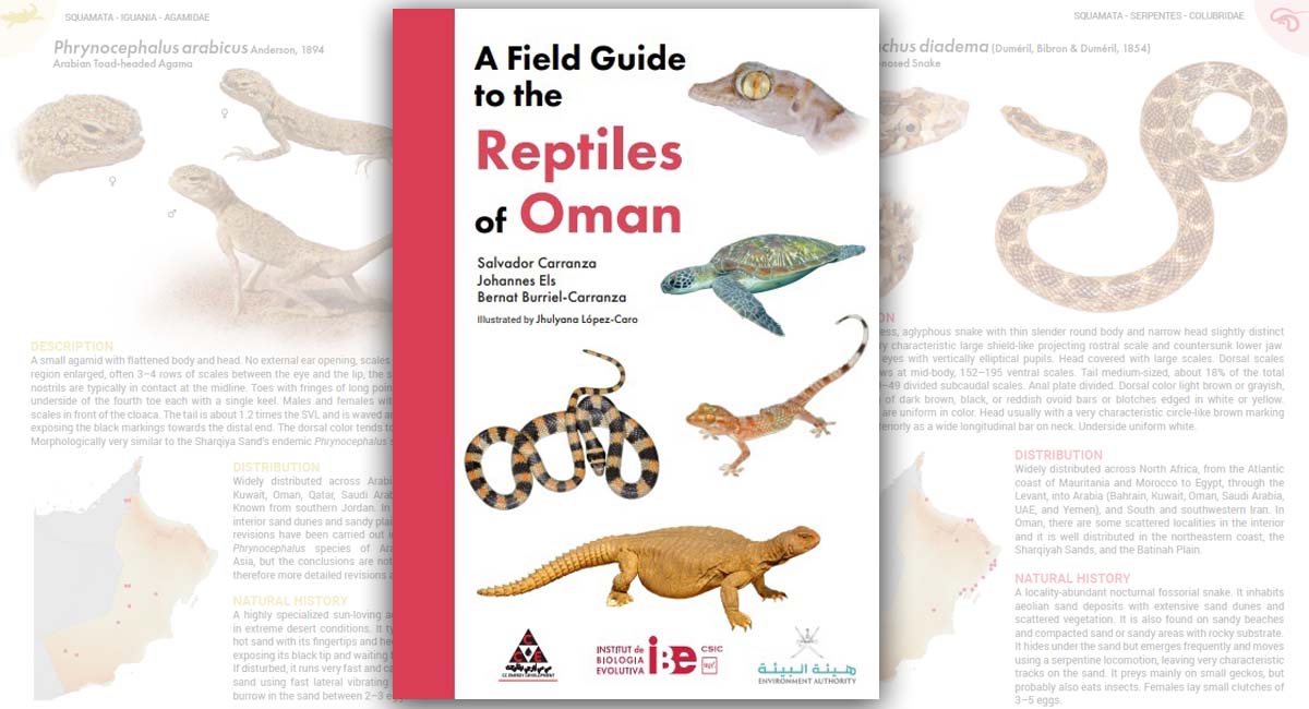A Field Guide to the Reptiles of Oman A Field Guide to the Reptiles of Oman