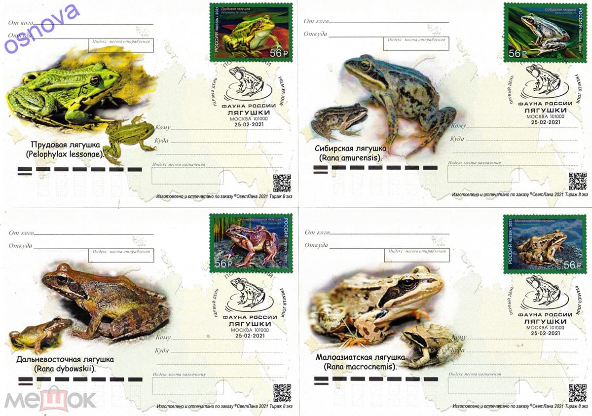 Неофициальный картмаксимум марок "Фауна России. Лягушки" Неофициальный картмаксимум марок "Фауна России. Лягушки"
