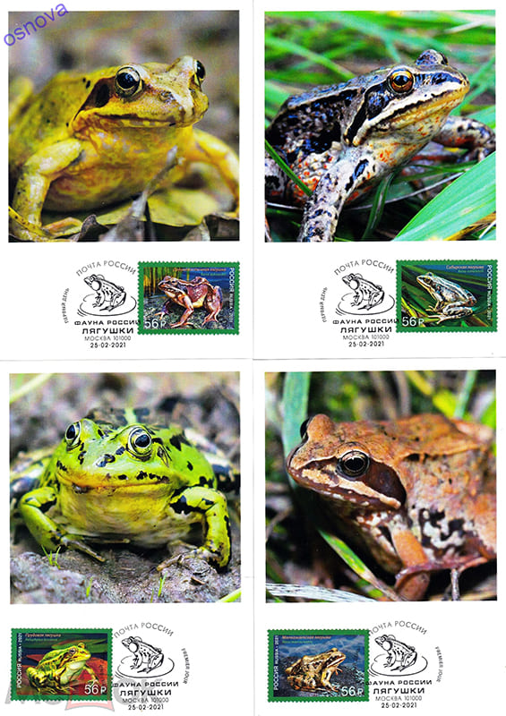 Неофициальный картмаксимум марок "Фауна России. Лягушки" Неофициальный картмаксимум марок "Фауна России. Лягушки"