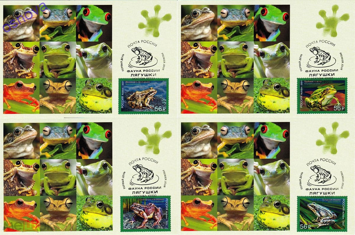 Неофициальный картмаксимум марок "Фауна России. Лягушки" Неофициальный картмаксимум марок "Фауна России. Лягушки"