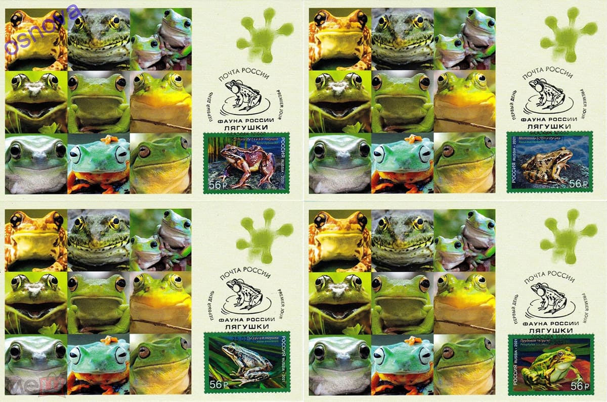 Неофициальный картмаксимум марок "Фауна России. Лягушки" Неофициальный картмаксимум марок "Фауна России. Лягушки"